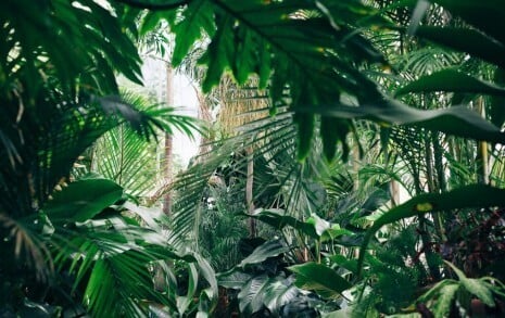 The access rights jungle
